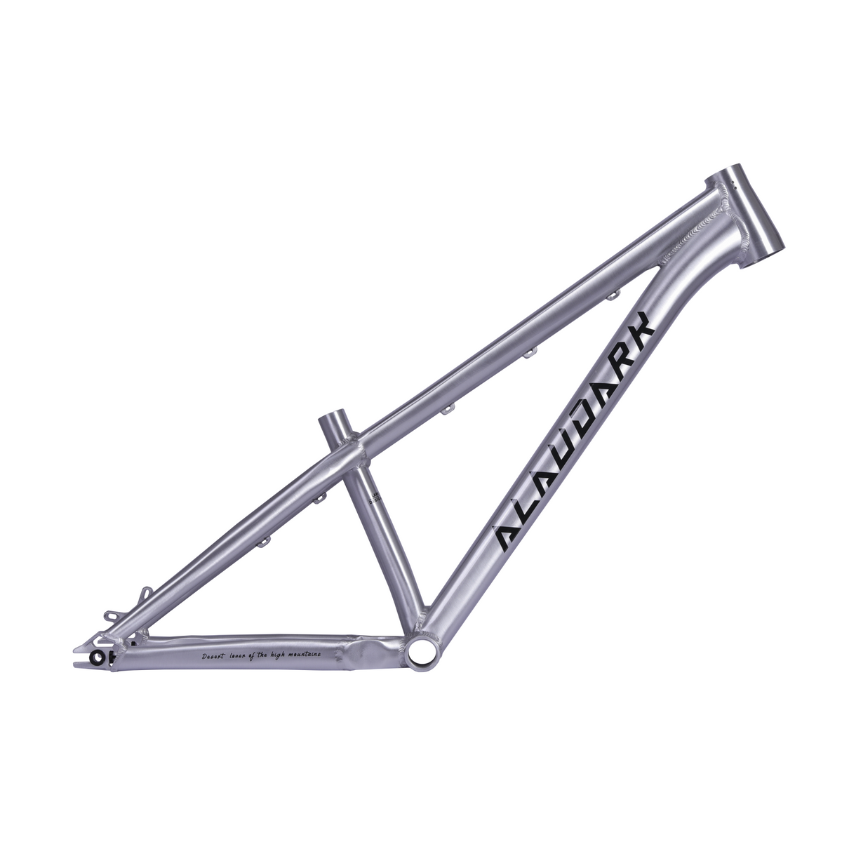 THE EVERYONE ALAUDARK LARK DJ2 Dirt Jump Bike Frame 26 SLIVER
